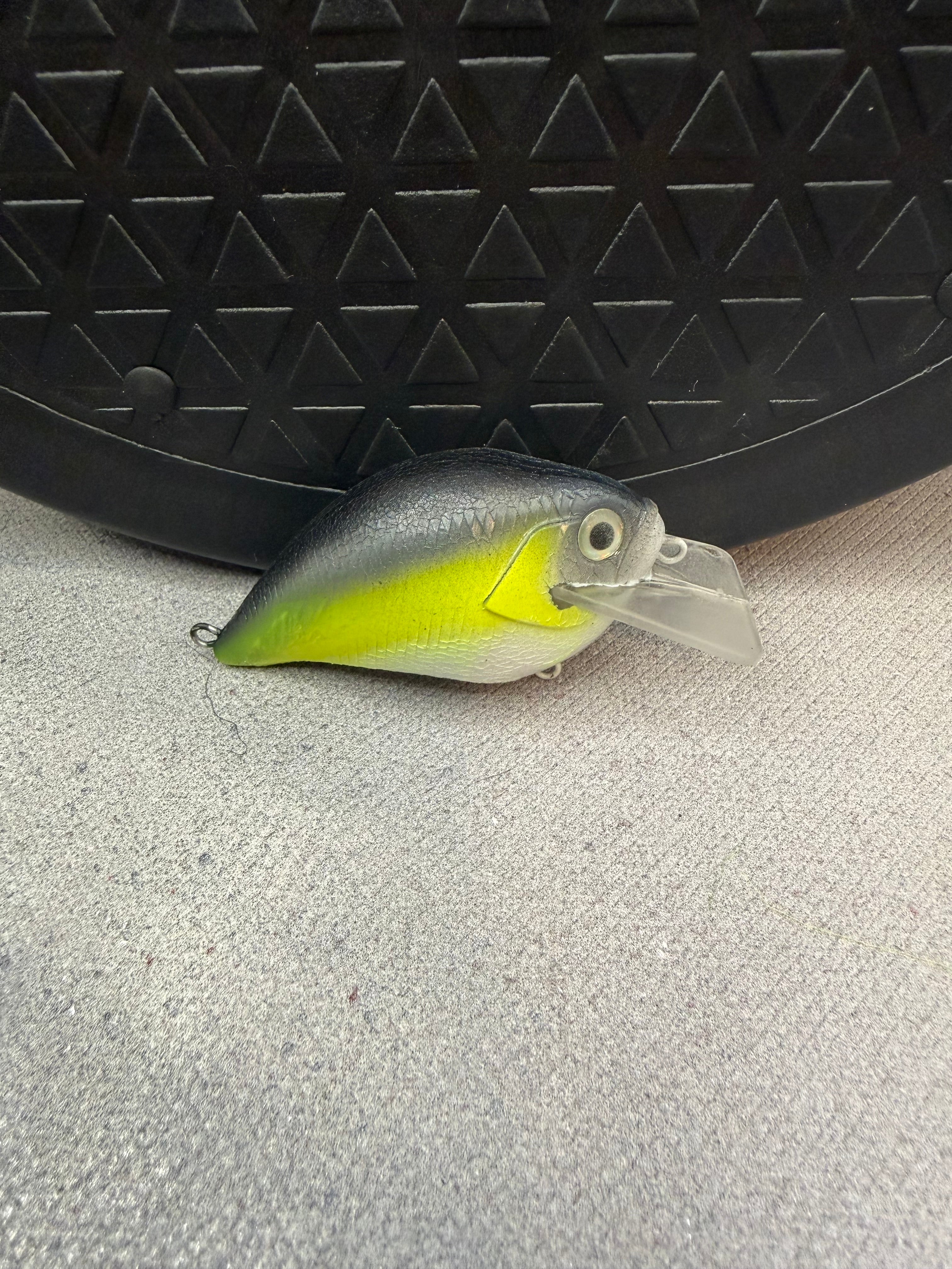Custom Crank Bait