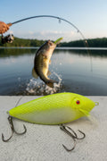 Custom Crank Baits