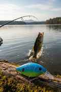 Custom Crank Bait