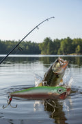 Custom Top Water Popper